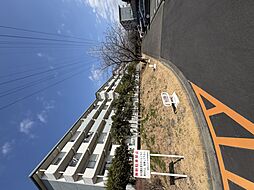 ひばり団地5号棟