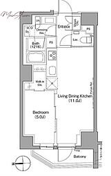 ザ・パークハビオ根岸三丁目 1LDKの間取図画像
