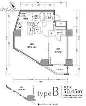 ＪＰ　ｎｏｉｅ　小石川富坂  ｜ 東京都文京区小石川2丁目（賃貸マンション1LDK・11階・50.45㎡） その2