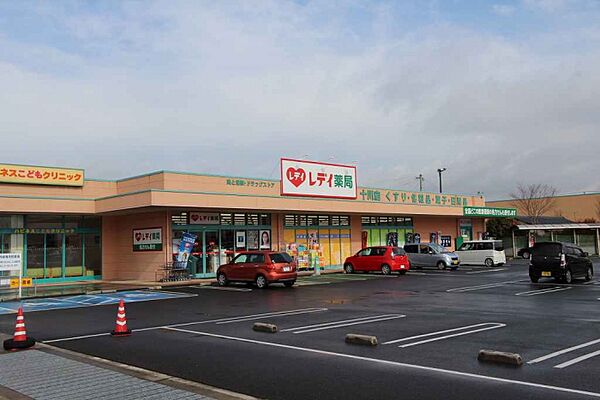 周辺：レデイ薬局十川店