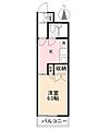 ダイアパレス中新町3階3.0万円