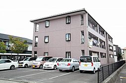 7 / 19
