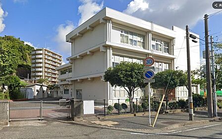 横須賀の落ち着いた住宅街に位置する公立小学校。緑豊かな環境の中、子どもたちがのびのびと学んでいます。地域に見守られた温かい教育環境と整備された通学路が、毎日の安心かつ快適な登下校をしっかりと支えます。