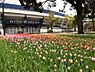 周辺：「関内」駅前にある横浜DeNAベイスターズの本拠地。通称「ハマスタ」。