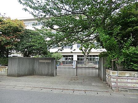 鎌倉市立七里ガ浜小学校(850m)