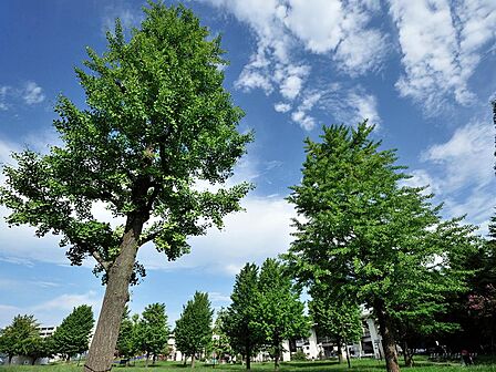 蒔田公園まで約606m