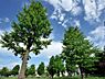 周辺：蒔田公園まで約606m