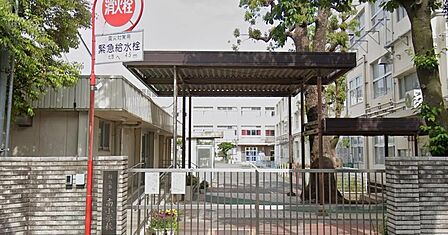 横浜市立南小学校まで約533m
