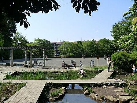 かつて雑木林だったエリアを上手に生かした形で人工的に整備し、自然豊かな公園として生まれました。遊歩道が敷かれており、緑の中で散策も楽しめます。