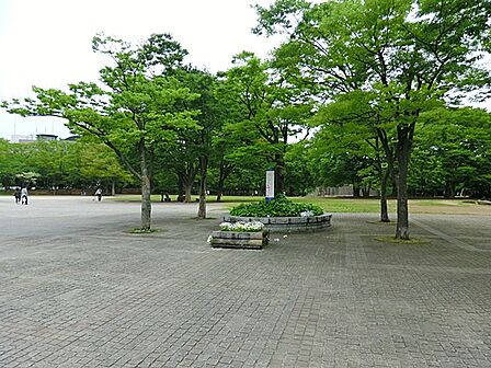 遊具や広場が整い、子どもたちがのびのびと遊べるほか、地域住民が散策や休憩を楽しめる身近な憩いの場です。