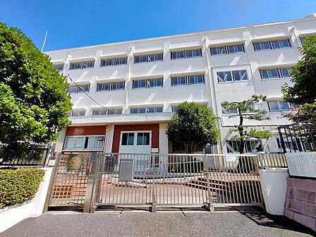 横浜市立川上小学校まで約539m