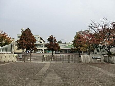 横浜市立並木中学校まで約500m。