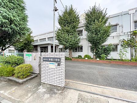 横浜市立神橋小学校まで約300m。