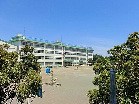 大和市立中央林間小学校まで約1265m