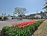 周辺：岡野公園まで約508m