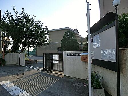 藤沢市立鵠沼中学校まで約1240m