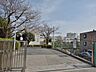 周辺：横浜市立秋葉小学校(1000m)