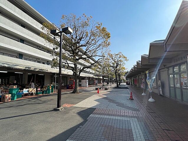 周辺 マープル津田沼スカイハイツＣ棟 5階/-