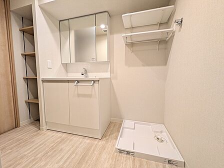 忙しい朝の身支度に便利なシャンプードレッサー(新規交換)