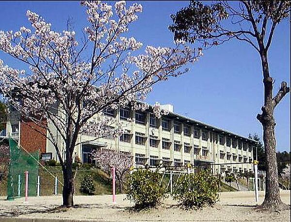 エアフォルク