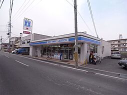 ノーザンライツ