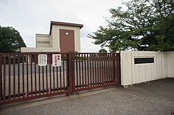 ルミエールかみや