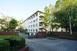 郡山中学校（71m）
