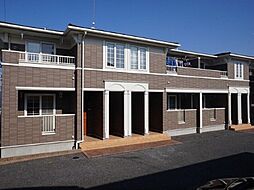 ブッシュ クローバー A