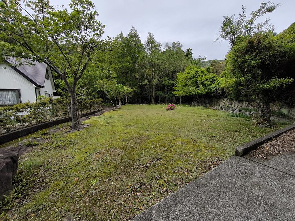 Image 19