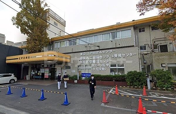 ピーニャ市川