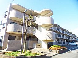 ベルグプレシャデス船橋