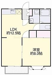 メゾンアヴニール 1LDKの間取図画像