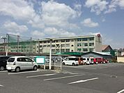 高校・高専「岡山県立岡山南高校まで771ｍ」