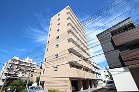 岡山県岡山市北区東古松1丁目（賃貸マンション1LDK・6階・41.83㎡） その1