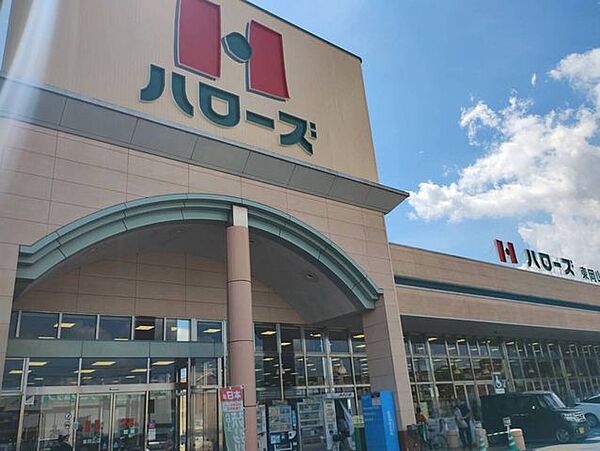 周辺を拡大表示