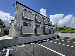 アークパイン黒松