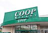 周辺：COOP　MIYAGI岩切店 653m