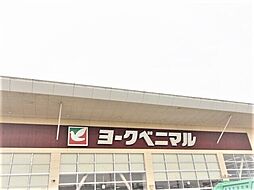 クオーレII