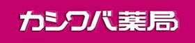 神奈川県横浜市中区柏葉（賃貸アパート1R・1階・19.01㎡） その18