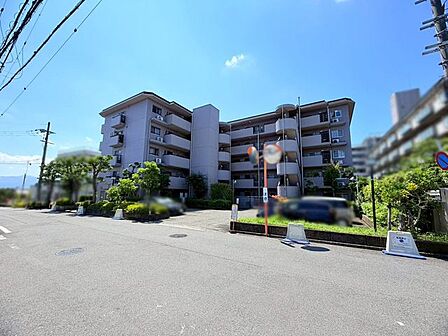 約5.6帖・約4.2帖の洋室は、ご家族構成やライフスタイルに合わせて使い分けが可能です♪