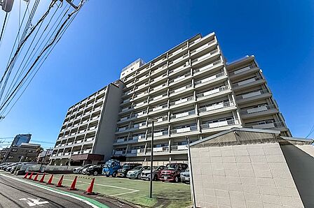 1971年竣工、11階建て・182戸のビッグコミュニティ。環七通り沿いには大きめのマンションもありますが、一本中に入ると低層の住宅が広がるエリア。そんな街並みの中で、ひときわ目を引く存在です。