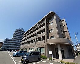 香川県綾歌郡宇多津町浜三番丁（賃貸マンション1LDK・3階・46.16㎡） その1