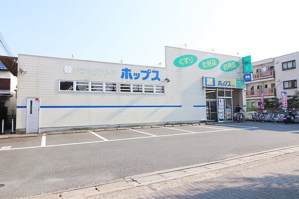 周辺を拡大表示