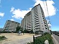 徒歩圏内にコン...