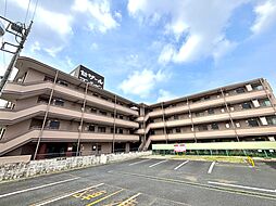 セザール春日部