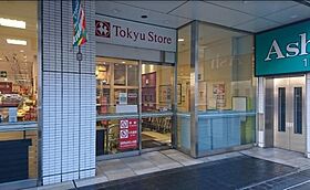 ビイルーム立川  ｜ 東京都立川市柴崎町3丁目（賃貸マンション1LDK・3階・42.32㎡） その18