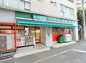 ピュアコート蒲田 101 ｜ 東京都大田区新蒲田1丁目14-2（賃貸マンション1R・1階・18.47㎡） その20