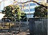 周辺：市川市立柏井小学校（1100m）