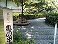 亀の甲緑地 徒...