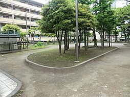 辰巳公園まで約746m